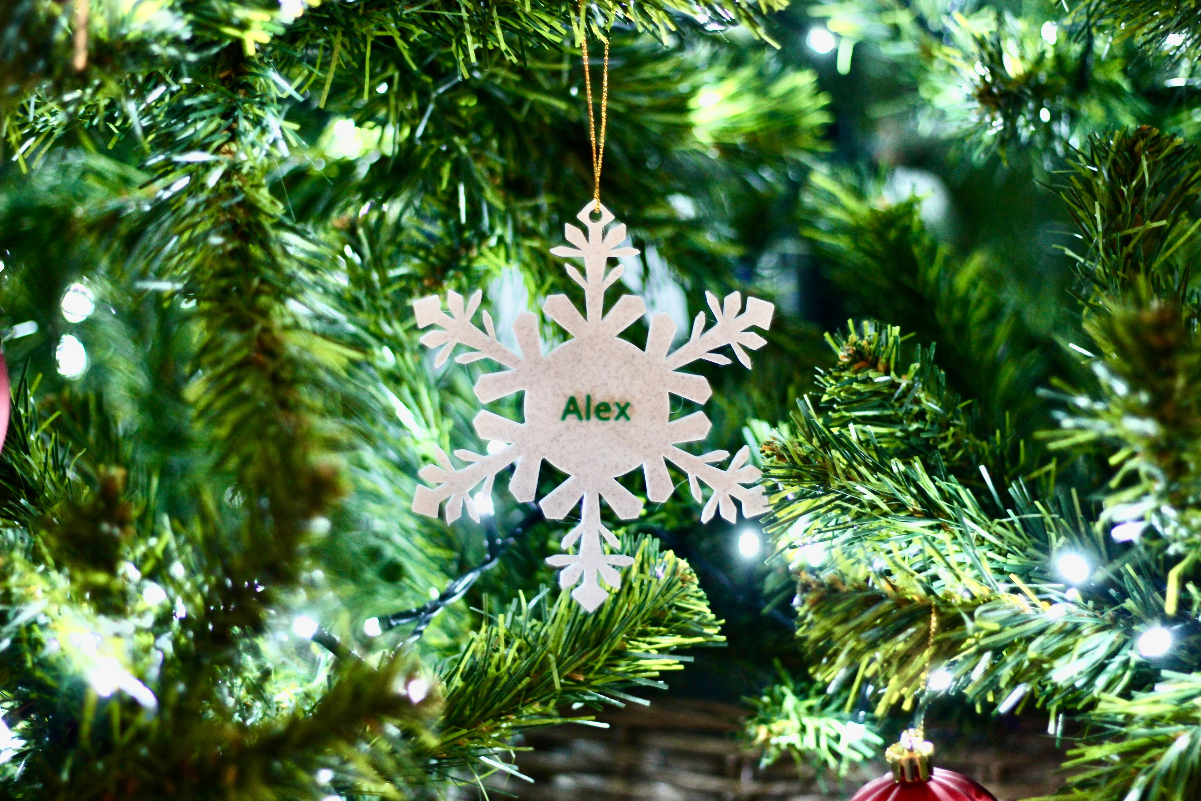 Christmas & Celebration