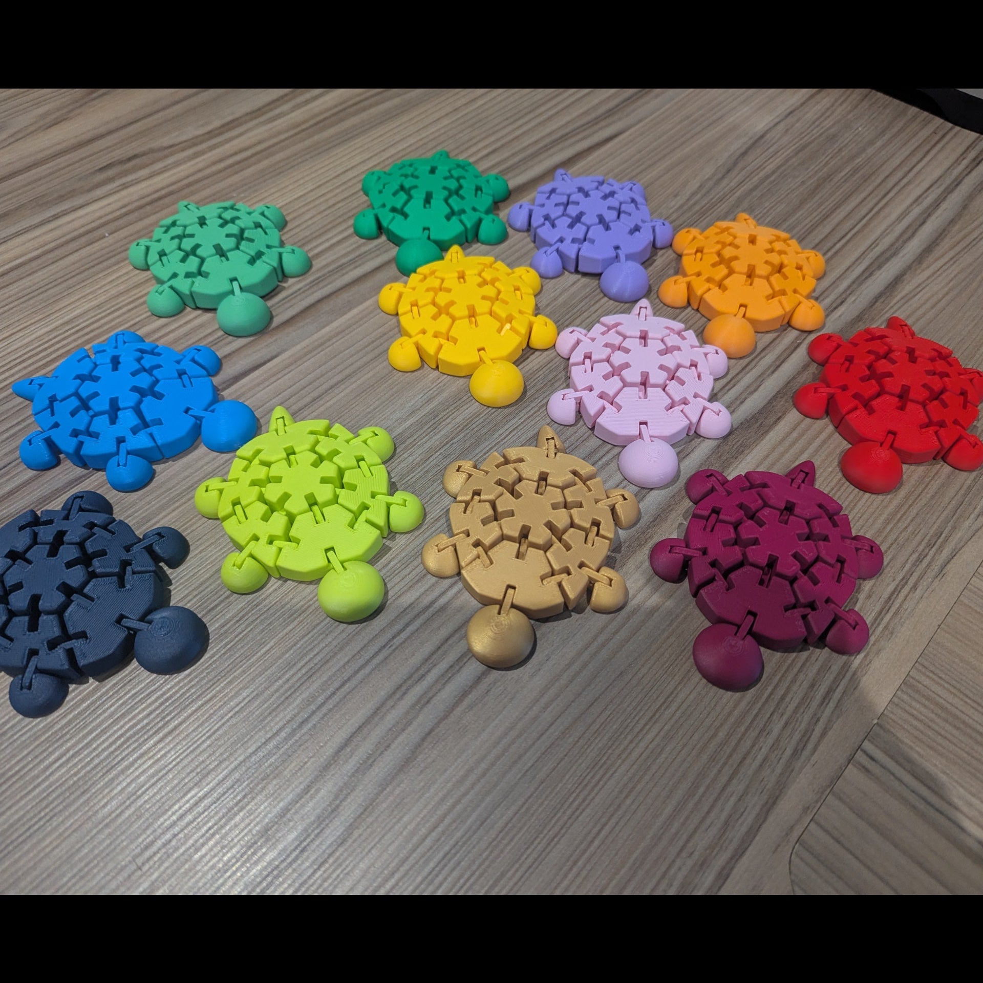 Wiggly Fidget Turtle