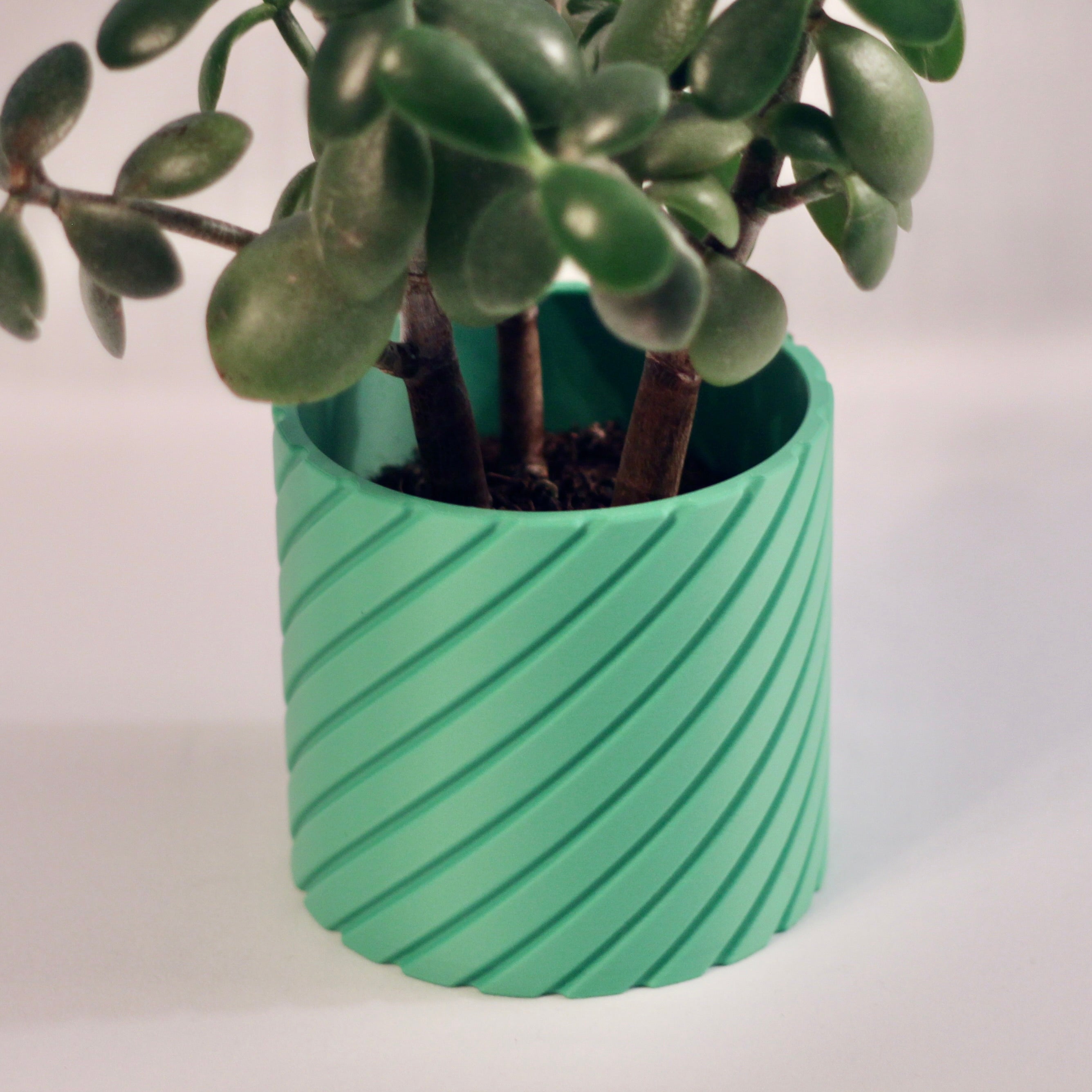 Geometric Spiral Plant Pot