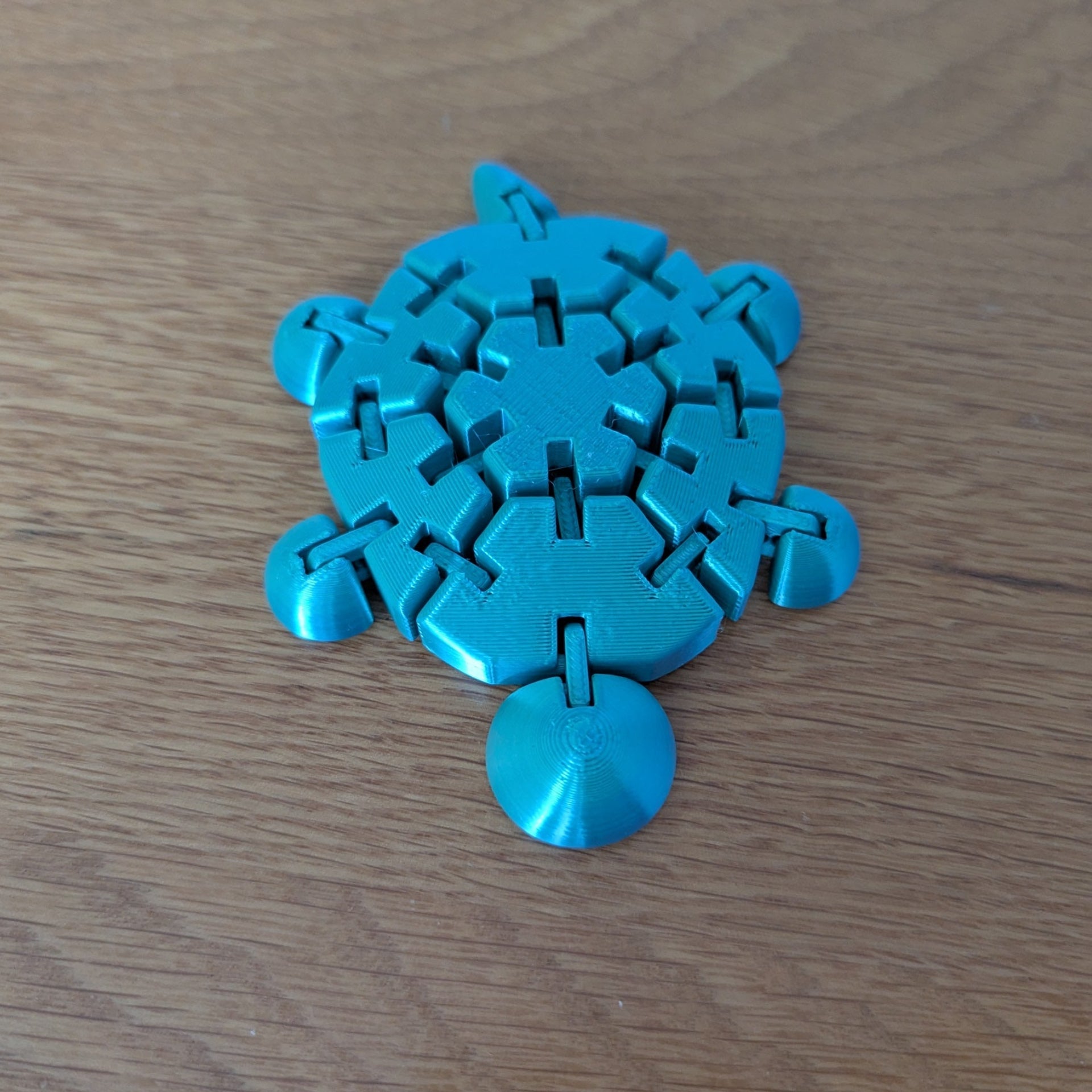 Wiggly Fidget Turtle