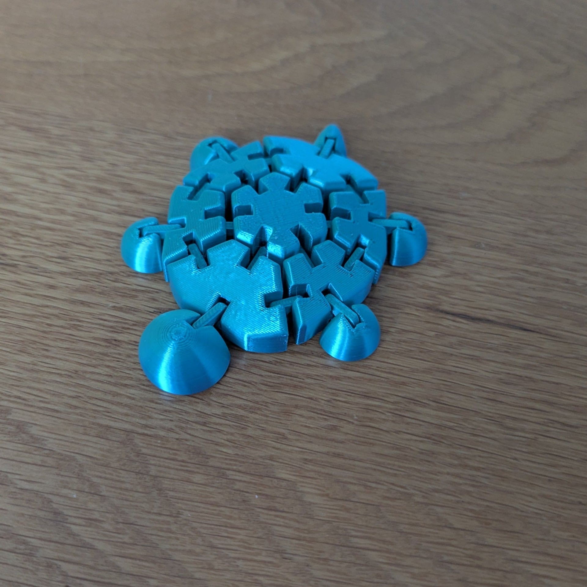 Wiggly Fidget Turtle