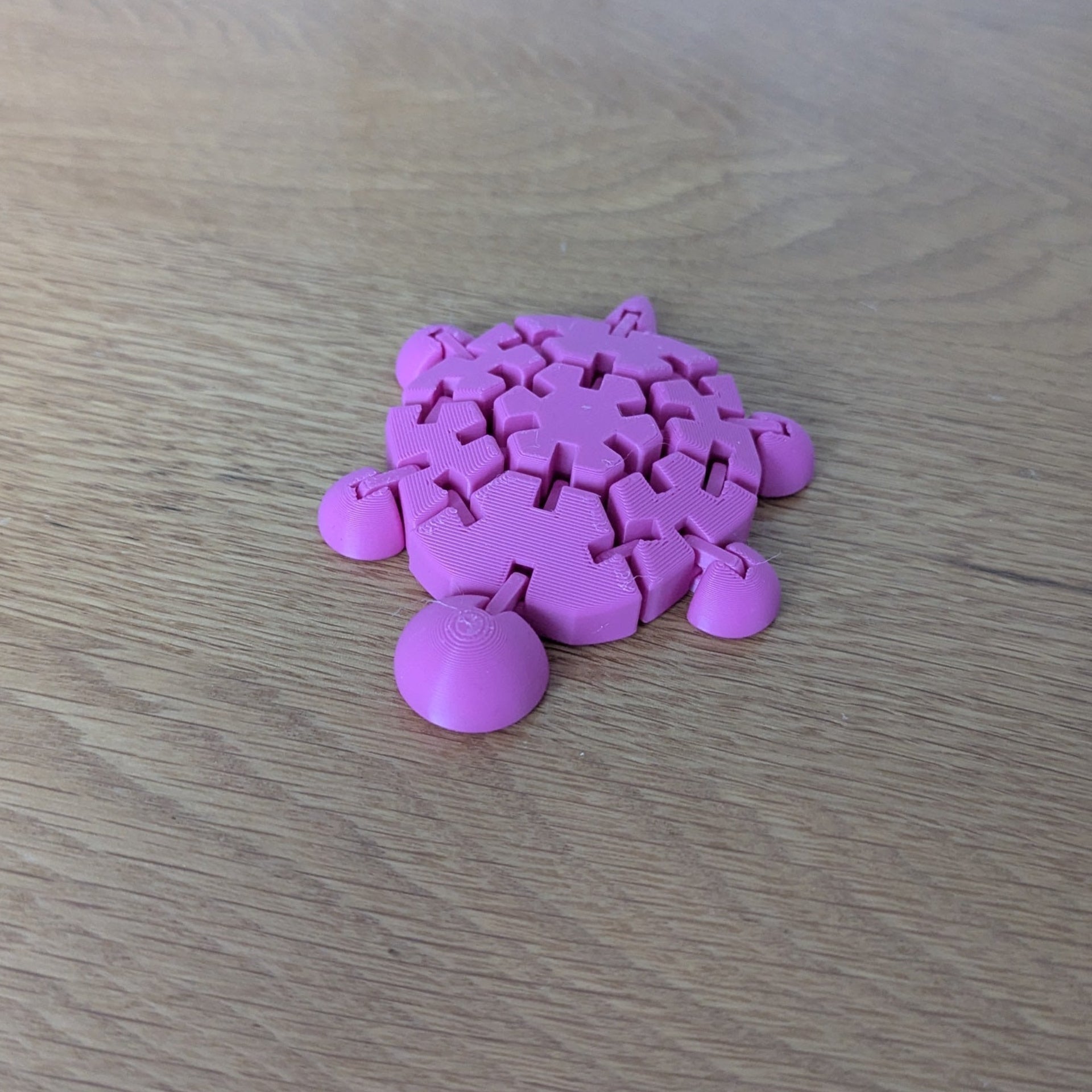 Wiggly Fidget Turtle