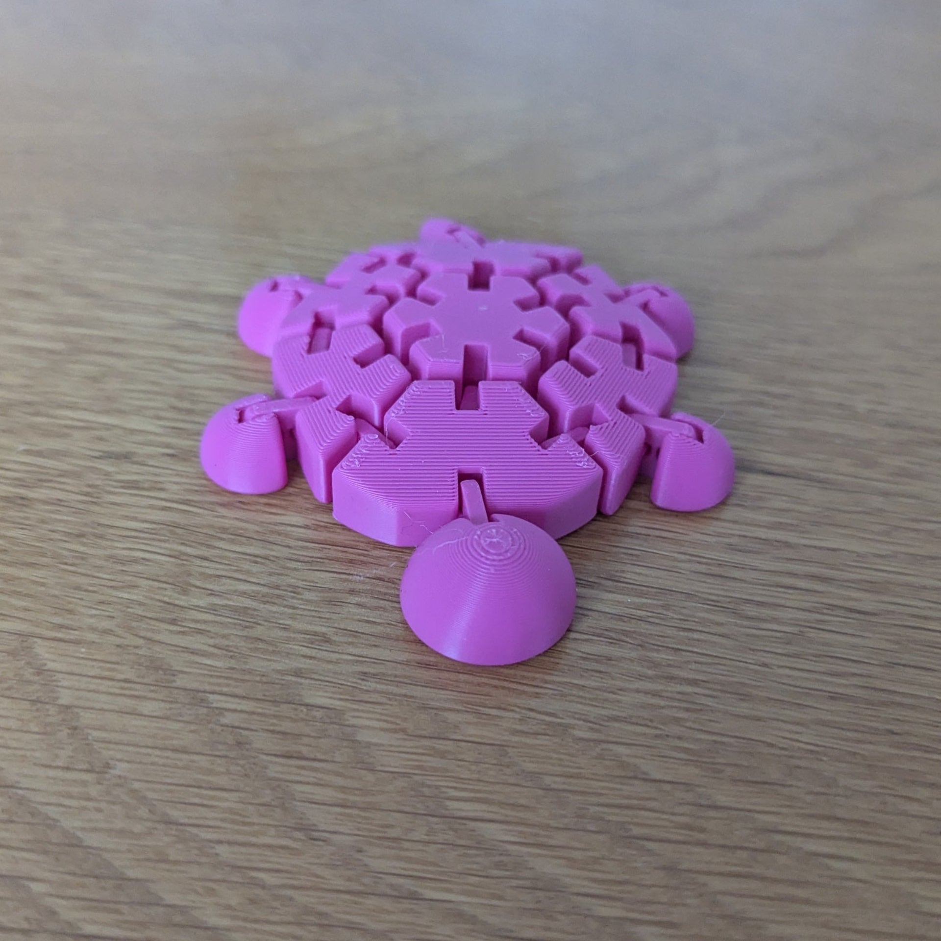 Wiggly Fidget Turtle