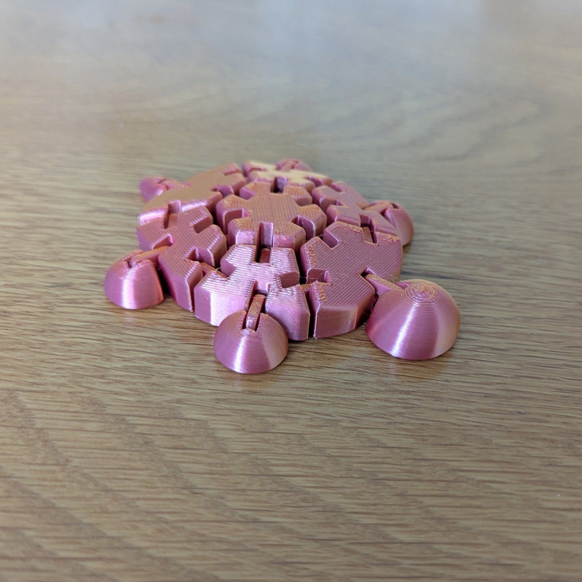 Wiggly Fidget Turtle