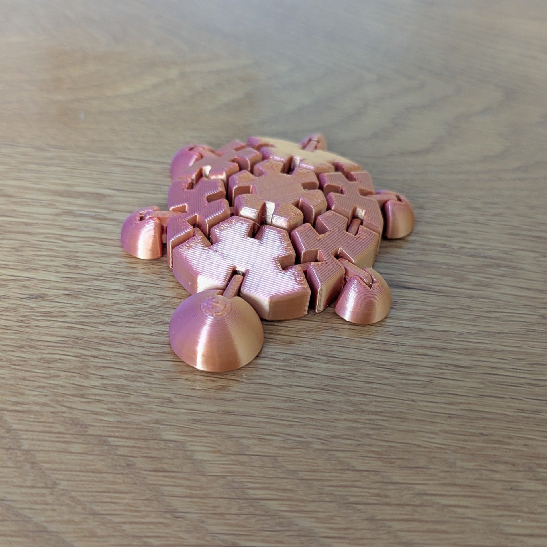 Wiggly Fidget Turtle