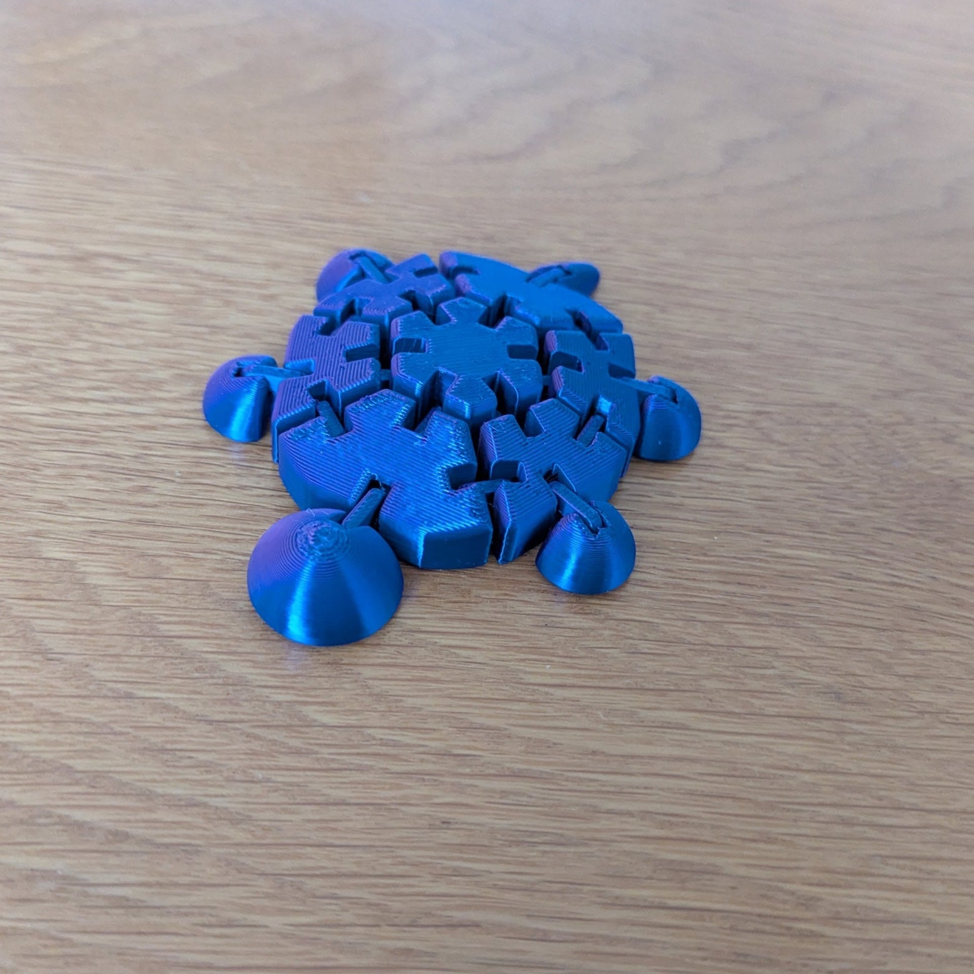 Wiggly Fidget Turtle