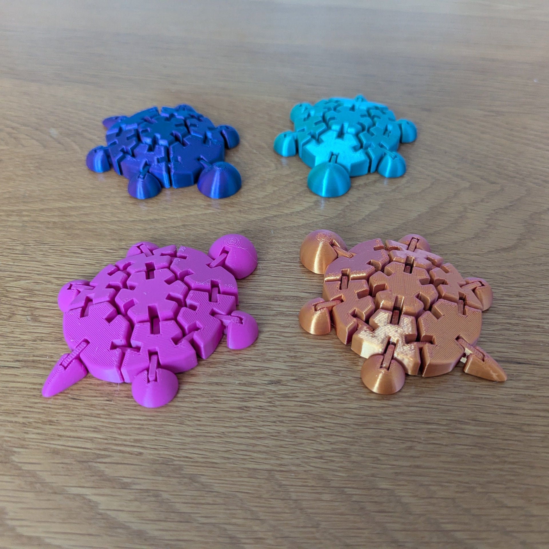 Wiggly Fidget Turtle