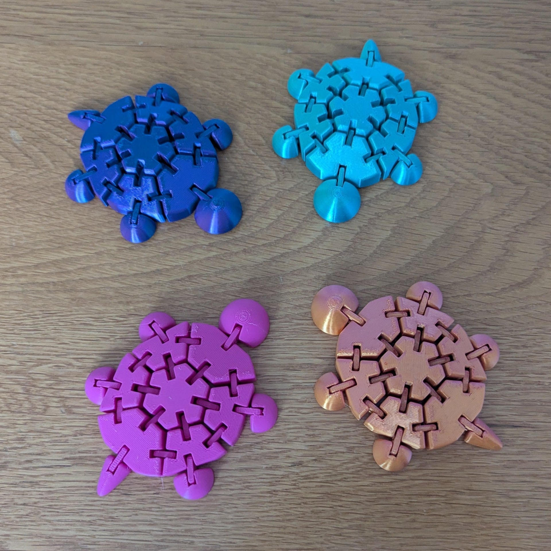 Wiggly Fidget Turtle