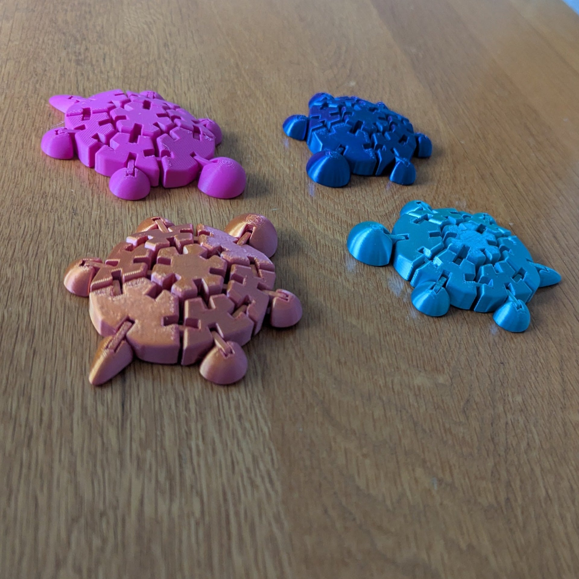 Wiggly Fidget Turtle